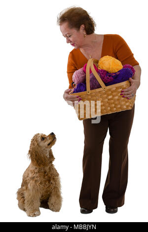 Elderly woman with a basket of colorful balls of knitting wool and her dog bending down to look at the cocker spaniel who in turn is looking up at her Stock Photo