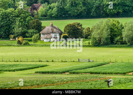 Housing display at Weald & Downland Open Air Museum of Singleton, West Sussex, England Stock Photo