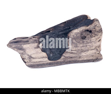 Partly burned charred piece of wood from beach isolated on white background Stock Photo