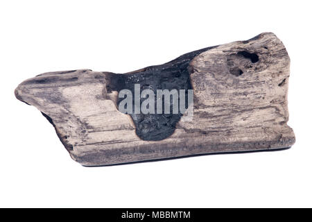 Partly burned charred piece of wood from beach isolated on white background Stock Photo