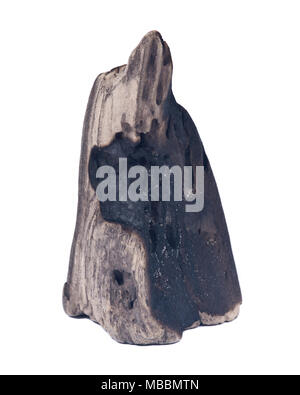 Partly burned charred piece of wood from beach isolated on white background Stock Photo