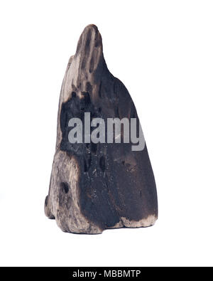 Partly burned charred piece of wood from beach isolated on white background Stock Photo