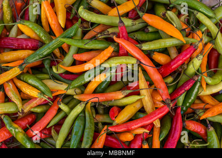 Spicy chillies of different colors that occupy the whole picture Stock Photo