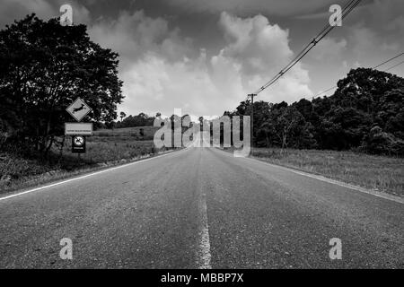 Endless straight road running through the forest with scenery of grass field and trees with cumulus clouds and sky in black and white scene. Death bac Stock Photo