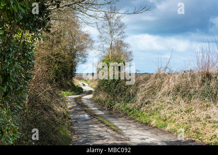 A quiet country lane in Newquay Cornwall. Stock Photo
