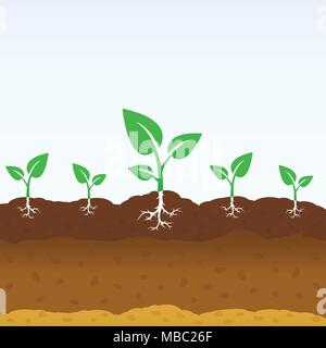 Young plant growing out of the ground. Plant growing from soil. Vector ...