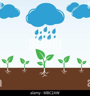Cloud and rain drops falling on the green sprouts. Vector illustration. Stock Vector