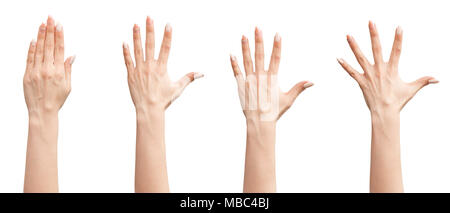 Set of female hands Stock Photo