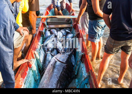 Fishing, swordfish and tuna in a canoe. Stock Photo