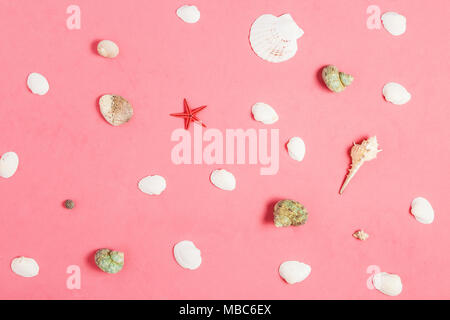 Collection of the Seashells and Starfish on Pink Background. Stock Photo