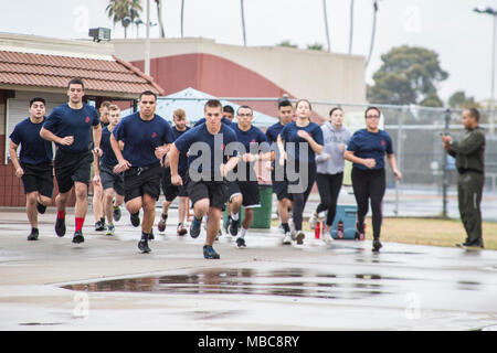 U.S. Maines with Recruiting Station Phoenix conduct an Initial Strength Test at Encanto Park, Phoenix, Ariz. on Feb. 15, 2018. The IST ensures poolees are ready for the physical challenges Marine Corps recruit training will present them. Stock Photo