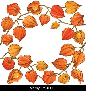 phisalis branch vector frame on white background Stock Vector