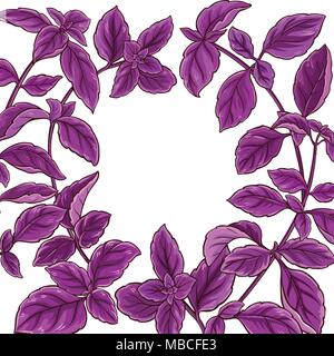 basil plant vector frame on white background Stock Vector