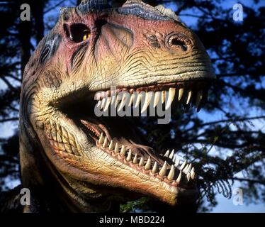 Model of the head of Allosaurus Stock Photo