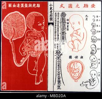 Chinese Medicine. Woodcut showing the different sizes of the growing embryo in the womb. Stock Photo