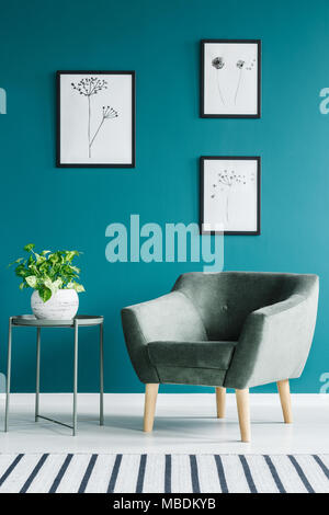 rama green colour wall