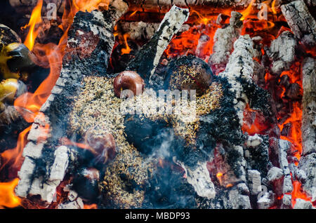 fire ceremony with offers of only vegetable origin during Guru Purnima Stock Photo