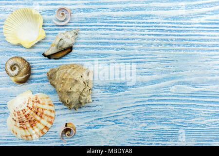lots of different seashells on blue wooden background. summer traveling concept design Stock Photo