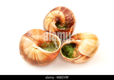 Escargots a la Bourguignonne (snails in garlic butter) on a white background Stock Photo