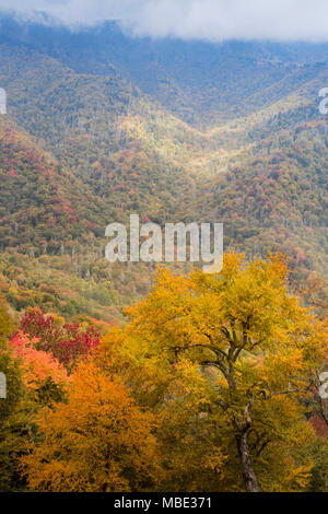 North Carolina, United States of America.  Fall scenery in the Great Smoky Mountains National Park.  UNESCO World Heritage Site. Stock Photo