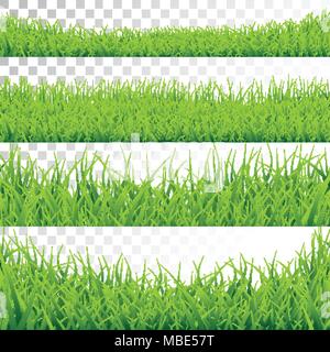 Green Grass Borders Set Vector Illustration on Transparent Background. Stock Vector