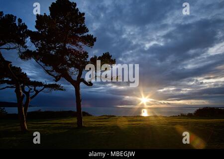 Scots Pine trees, silhouette of a boat and a beautiful sunset over the Needles and the Solent on the Isle of Wight Stock Photo