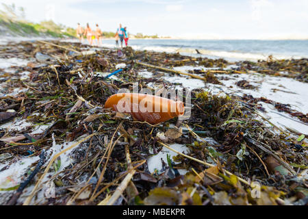 Plastic waste lies washed up on the shore of a white sand beach with people walking in the background Stock Photo