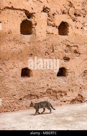 El Badi Palace is a ruined palace located in Marrakesh, Morocco Stock Photo