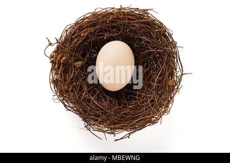 top view goose egg on nest on white background Stock Photo