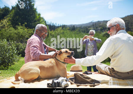 Senior men friends petting dog on sunny summer picnic blanket Stock Photo