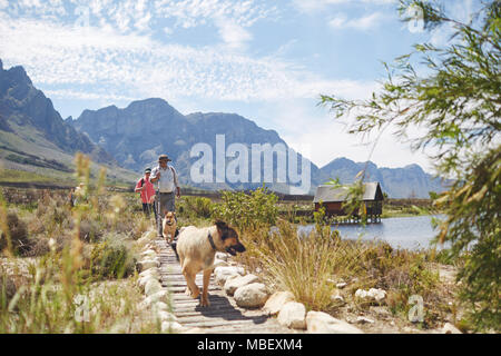 Hikers and dogs walking on footpath along sunny summer lake Stock Photo