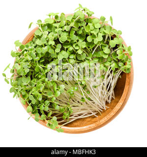 White mustard microgreen in wooden bowl. Fresh sprouts and young leaves of Sinapis alba, also yellow mustard, an edible herb. Shoots and cotyledons. Stock Photo