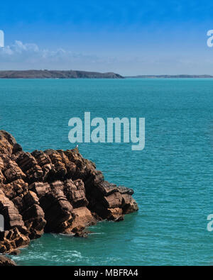 Seagull sitting on a rock edge on the cliff next to the shoreline of a blue ocean on a sunny day, notice the cliffs in the background. Stock Photo