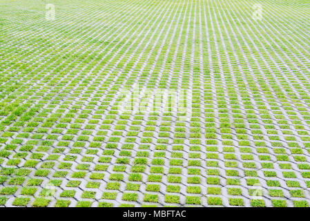 Large empty eco-friendly parking of concrete cells and green turf grass in a modern city Stock Photo