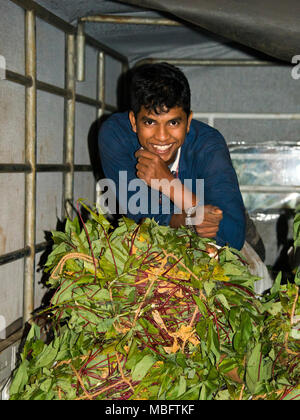Vertical portrait of a worker sitting in the back of a delivery van at Dambulla Fruit and Vegetable wholesale market in Sri Lanka. Stock Photo