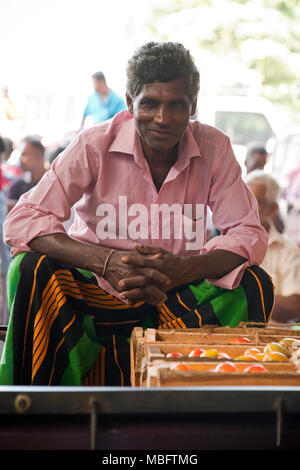 Vertical portrait of a worker at Dambulla Fruit and Vegetable wholesale market in Sri Lanka. Stock Photo