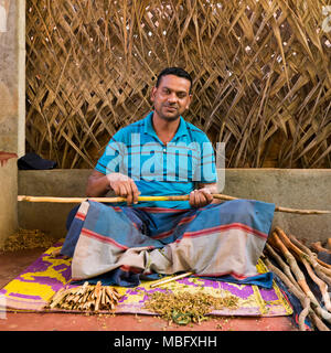 Square portrait of a man making cinnamon sticks in Sri Lanka. Stock Photo