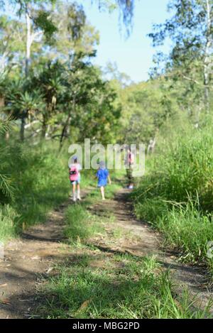 Townsville Town Common Conservation Park, Pallarenda, QLD, Australia Stock Photo