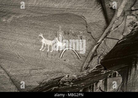 Monochrome black and white old anasazi petroglyphs representing humans and animals painted on a cliff of the Canyon de Chelly, Chinle, Arizona Stock Photo