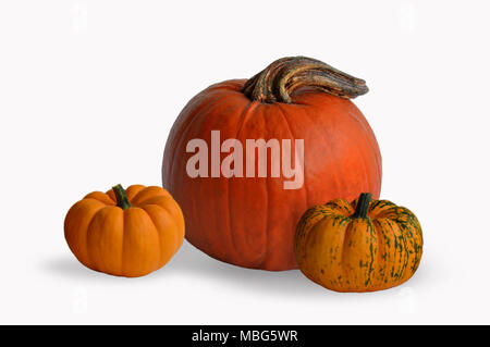 three pumpkins of different sizes isolated on white background Stock Photo