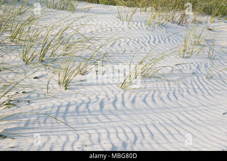 Ripples on a sand dune from a recent wind. Stock Photo