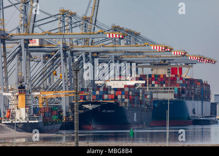 The seaport of Rotterdam, Netherlands, deep-sea port Maasvlakte 2, on an artificially created land area in front of the original coast, Rotterdam Worl Stock Photo