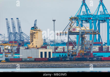 The seaport of Rotterdam, Netherlands, deep-sea port Maasvlakte 2, on an artificially created land area in front of the original coast, Rotterdam Worl Stock Photo