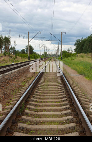 Railway of suburban message is laid through wood Stock Photo