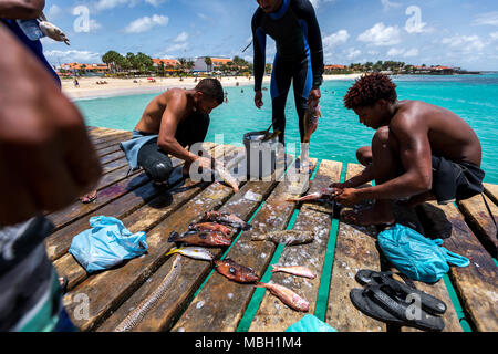 Fishermen with colorful fish on a wooden pier in Santa Maria, Sal, Cape Verde, Cabo Verde Stock Photo