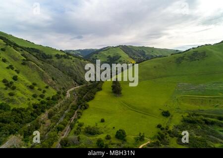 This area was once a Carnegie brick factory, now it’s over run by trains, turkeys, and blacktail deer Stock Photo