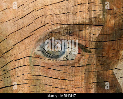 Textured and Painted Eye on Wood Stock Photo