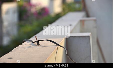 Wire wrapped around a nail on a wall with some screws and trees in the background at sunset Stock Photo