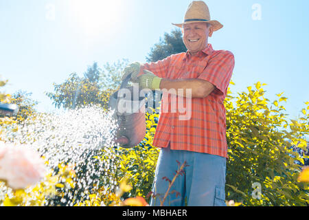 Active senior man watering plants in the garden in a tranquil day Stock Photo