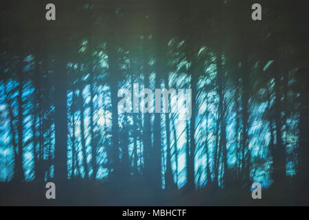 Abstract background image of blurred forest trees in a winter hue Stock Photo